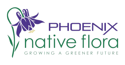Phoenix Native Flora