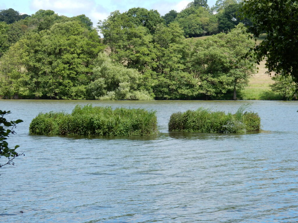 Biohaven Floating Island planted with native UK wetland species, moored on a lake
