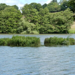 Biohaven Floating Island planted with native UK wetland species, moored on a lake