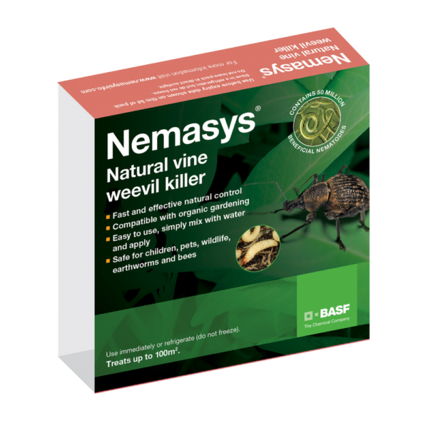 Nemasys Vine Weevil Killer
