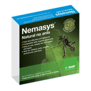 Nemasys No Ants pack, biological nematode treatment for ant nests