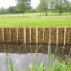Live willow stakes and woven brushwood mattress installed along a UK riverbank for erosion control
