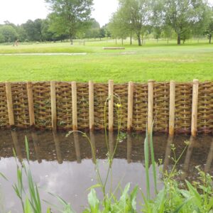 Live willow stakes and woven brushwood mattress installed along a UK riverbank for erosion control