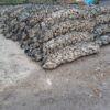 Rock roll erosion control units installed along a UK riverbank for bank stabilisation