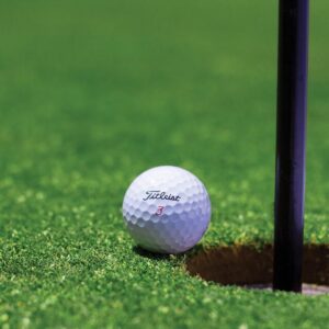 Pack of Phoenix Amenity All Bent Renovation Grass Seed Mix, 100% Teetop Brown Top Bent for golf and bowling greens