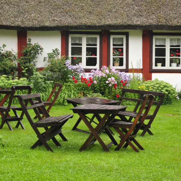 Back Lawn Grass Seed Mix