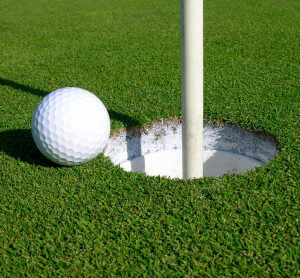 All Bent Renovation Grass Seed Mix