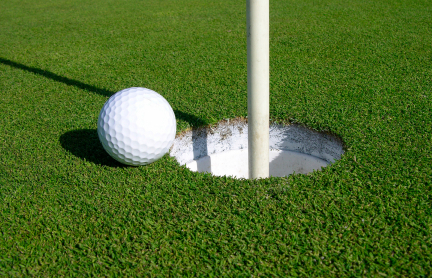 All Bent Renovation Grass Seed Mix