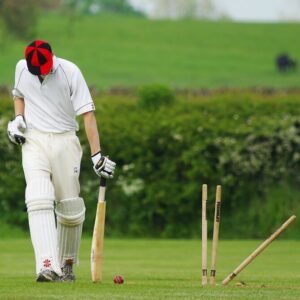 Cricket square turf grown from Phoenix Amenity Corsica and Eurocordus ryegrass seed mix
