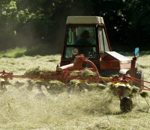 Dual Purpose Grass Seed Mix pack, a 5 to 7 year ley blend of ryegrass, timothy and white clover