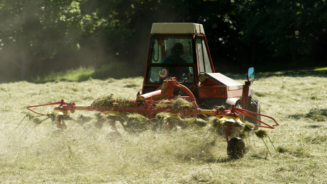 Dual Purpose Grass Seed Mix