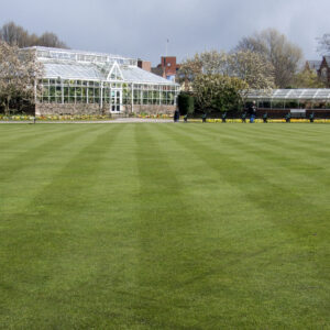 Close, fine-leaved lawn grown from Creeping Red Fescue, Chewings Fescue and Brown Top Bent seed mix