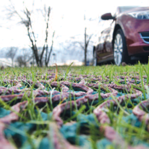 GP-Flex grass and ground protection mesh laid over a grassed access area