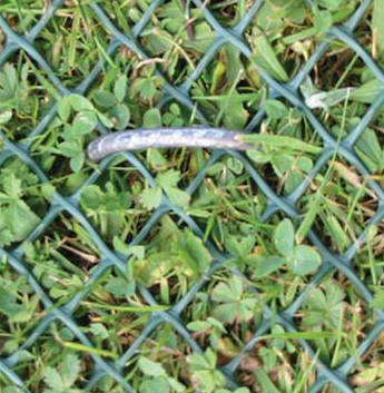 Turfprotecta - Turf Reinforcement Mesh