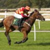 Bag of Phoenix Amenity Gallops and Racecourses Grass Seed Mixture