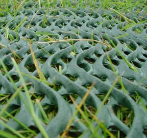 GrassProtecta turf reinforcement mesh laid across a grass car park