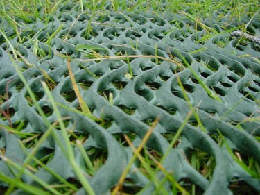 GrassProtecta - Turf Reinforcement Mesh