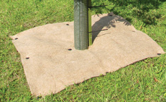 Biodegradable jute mulch mat fitted around the base of a young tree