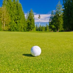 Premier Greens Grass Seed Mix pack for golf and bowling greens