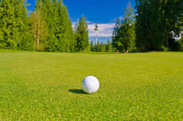 Premier Greens Grass Seed Mix
