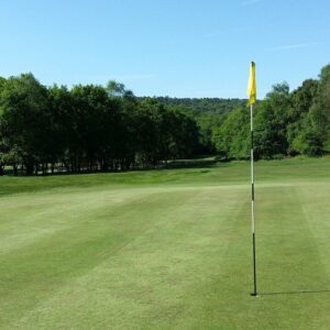 Phoenix Amenity Prize Grass Seed Mix (non-ryegrass) product pack, a fescue and bent grass seed blend