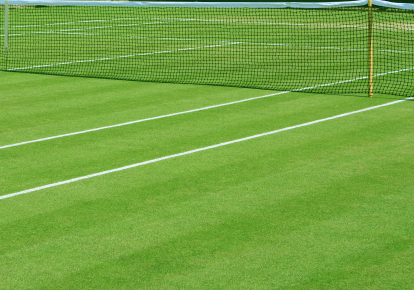 Summer Sports Grass Seed Mix