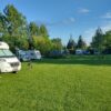 Camping and caravan site premium grass seed mix growing on a holiday park pitch