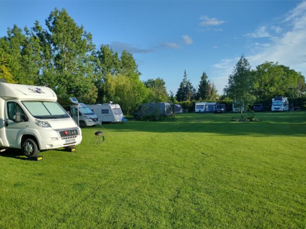 Camping and Caravan Site Premium Grass Mix