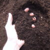 Phoenix Amenity topsoil for landscaping and construction projects