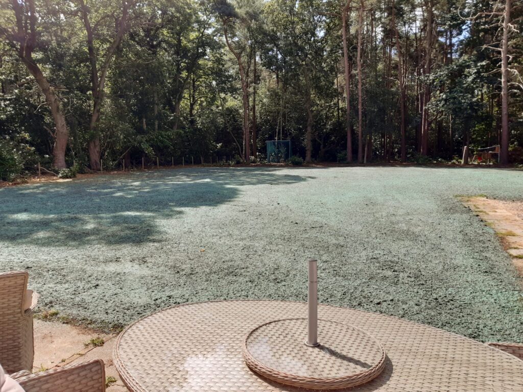 Hydroseeding the process