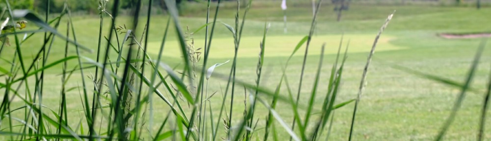 Conservation Grassland
