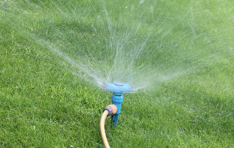 Effective watering of a new lawn