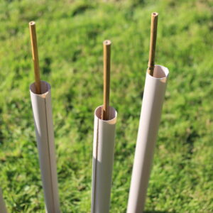 Several muted brown biodegradable hedge wraps on canes in grassland on a hedgerow planting scheme