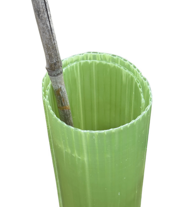 Vigilis Hedge Wrap