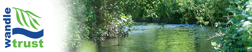 River Wandle
