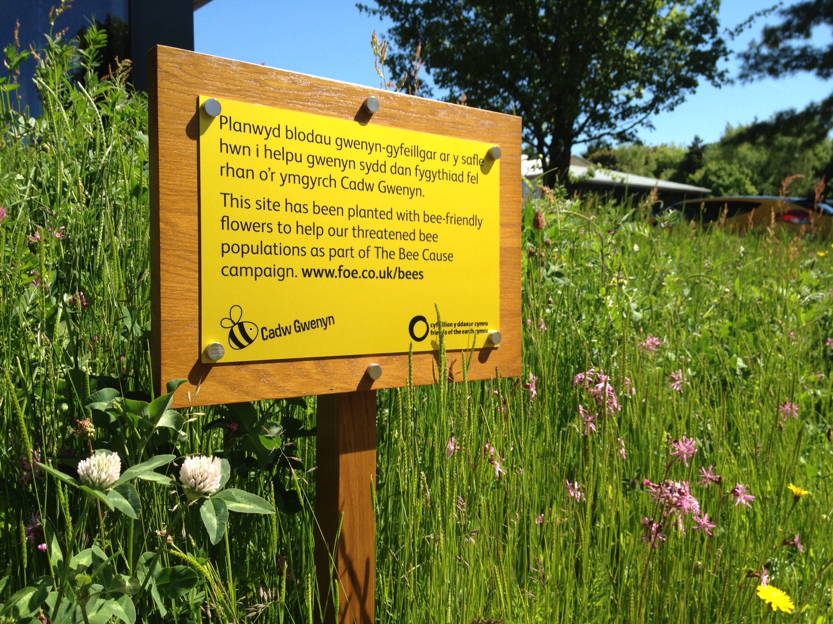 bee world award fro Bron Afon