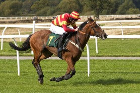 horse race