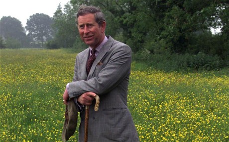 Prince charles in wildflower meadows
