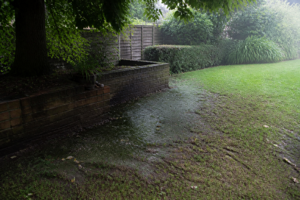Algae on shaded turf in summer: why poor airflow makes it worse and how to fix it