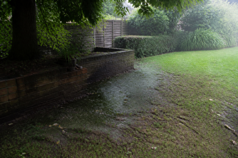 Algae on shaded turf in summer: why poor airflow makes it worse and how to fix it