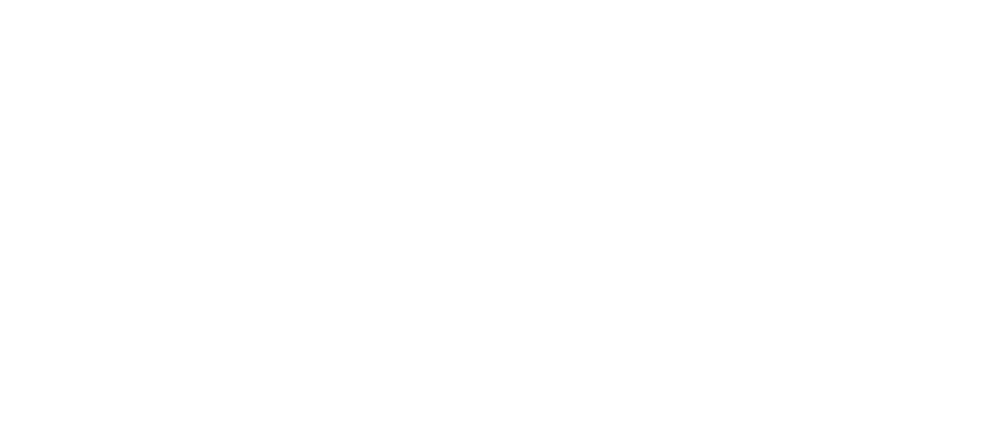 Phoenix logo footer