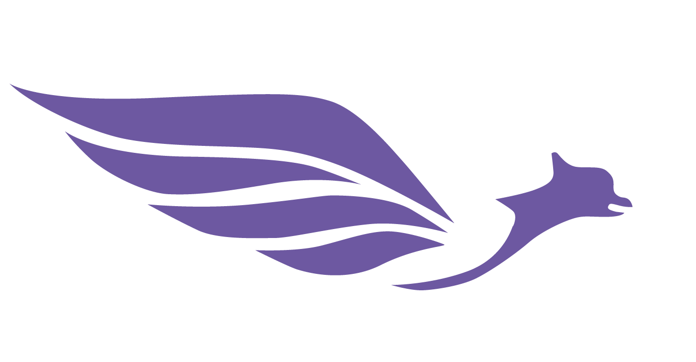 Plugs and Potted Plants link