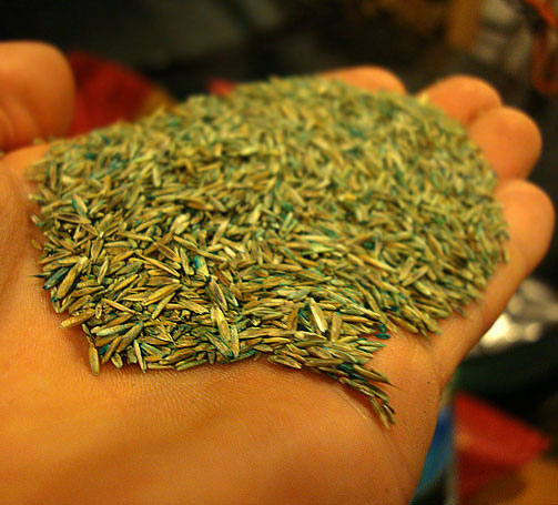Create Your Own Seed Mix (Grass, Wildflower Meadow or 100% Wildflower Seed)